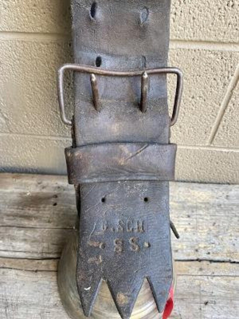 Swiss BronzeCowbell #15