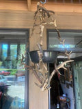 Antler Plant Hanger, Repurposed German Antler Chandelier
