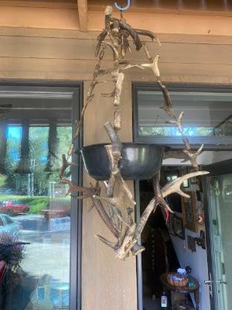 Antler Plant Hanger, Repurposed German Antler Chandelier