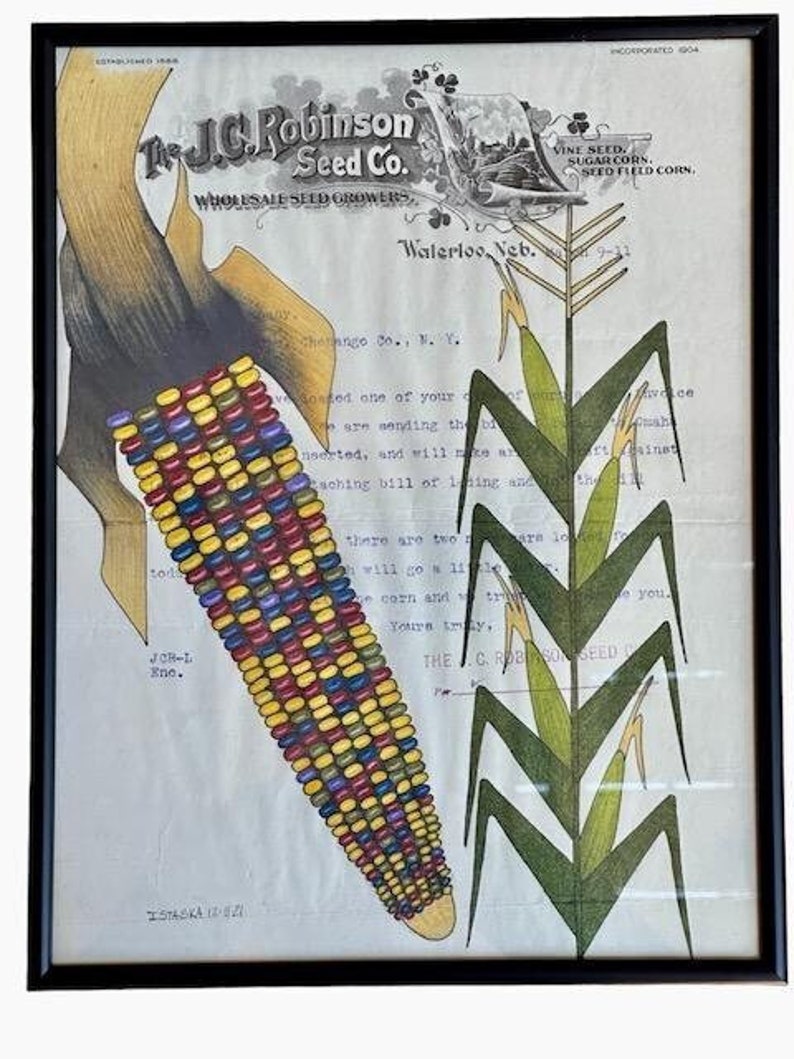 "Indian Corn" Ledger Drawing by Travis Blackbird, 1911 Seed Invoice