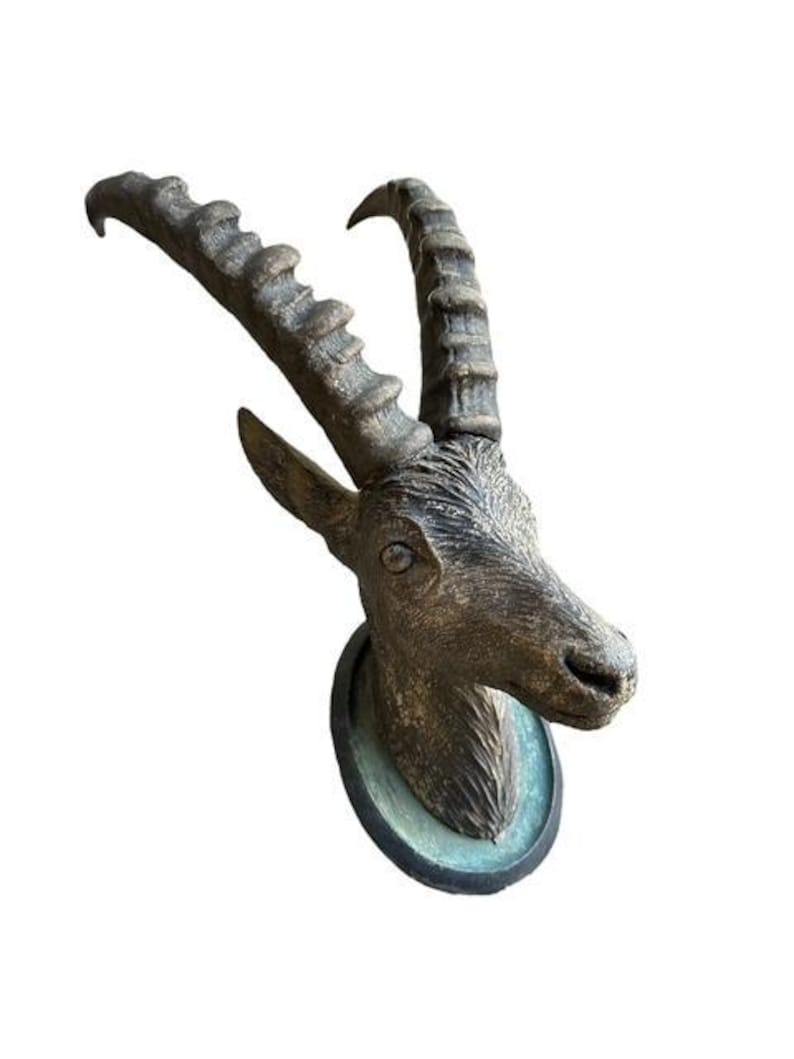 Black Forest Hand-Carved Steinbock Goat Head, Innsbruck Austria