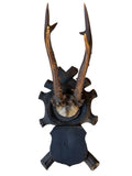 Roe Deer Trophy 105 Black Forest Antlers Mount