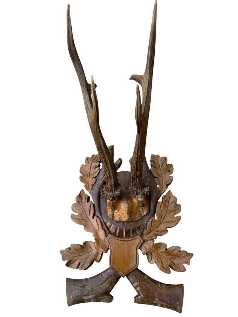 Roe Deer Trophy 132 Black Forest Antlers Mount