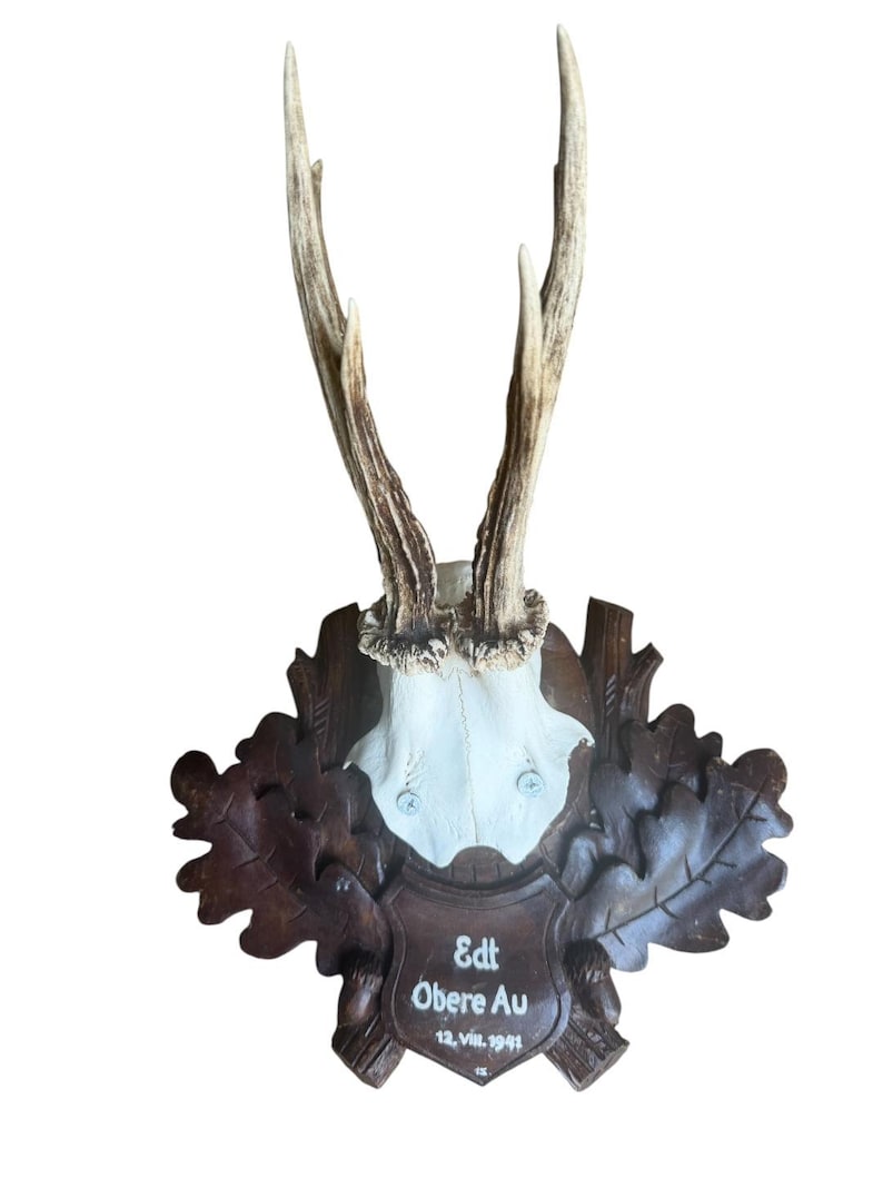 Roe Deer Trophy 196, Black Forest Antlers, 1930s
