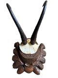 Chamois Goat Trophy 223, Black Forest Horns on Pinecone Plaque