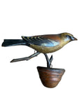 Austrian Folk Art Carved Wood Chaffinch, 4 Inches, 1930s