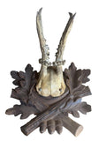 Roe Deer Trophy 228 Black Forest Antlers Mount