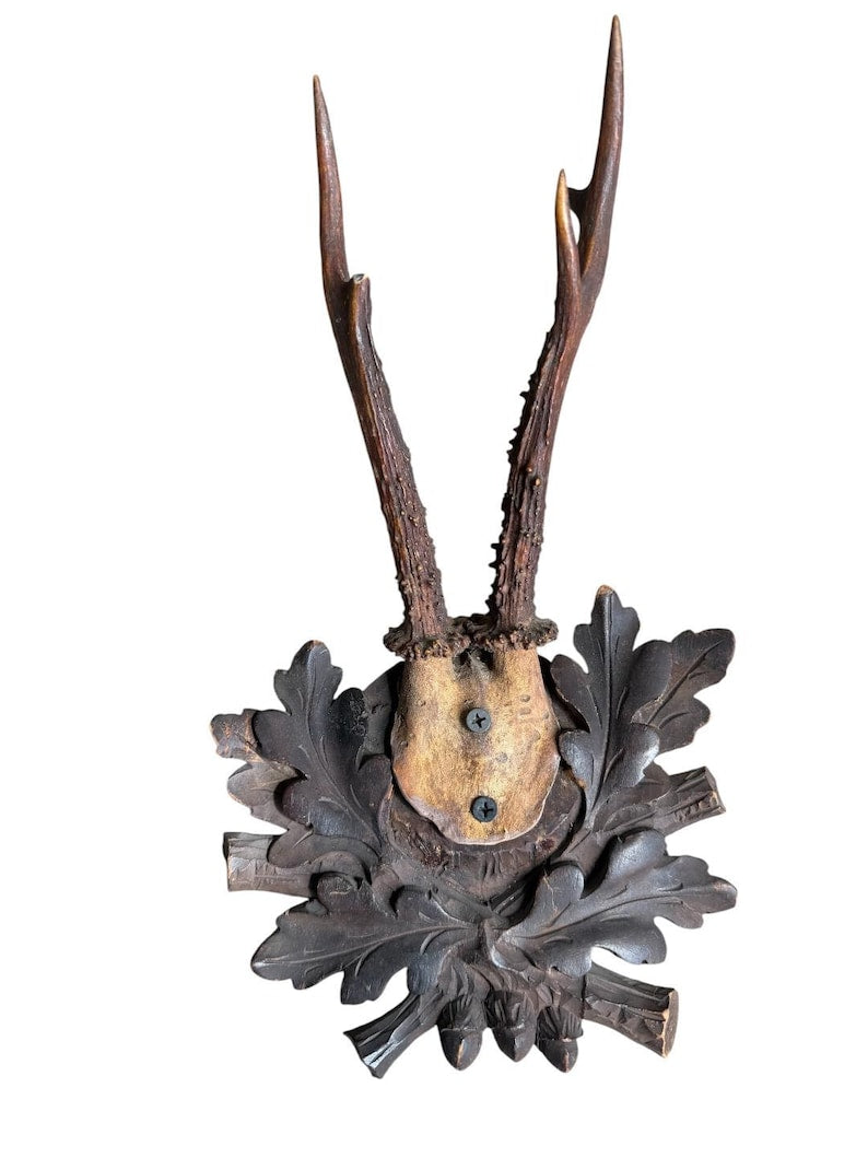 Roe Deer Trophy 243, Black Forest Antlers Mount
