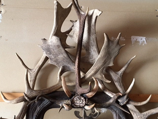 Antique Antler Mirror, Shipping is Additional and Not Included in Price