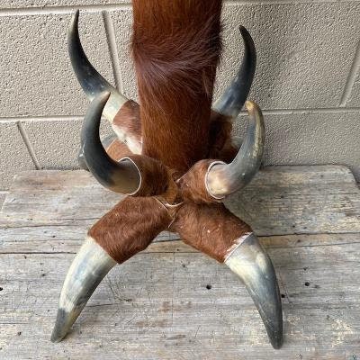 Vintage Horn and Cowhide Occasional Side Table, Found in Germany