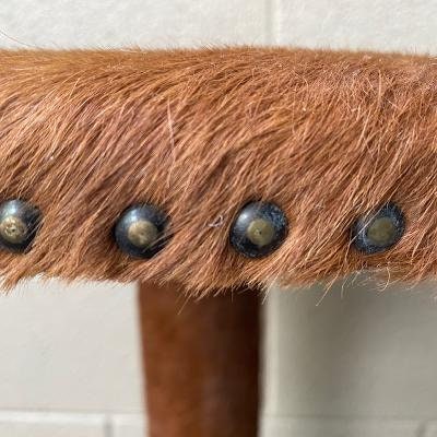 Vintage Horn and Cowhide Occasional Side Table, Found in Germany