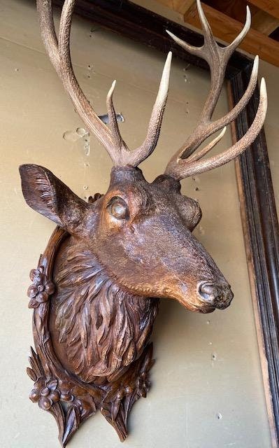 Black Forest Carved Stag Head with Real Antlers, 19th Century