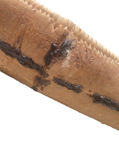 Birch Bark Canoe with Pine Tar, Native American Folk Art