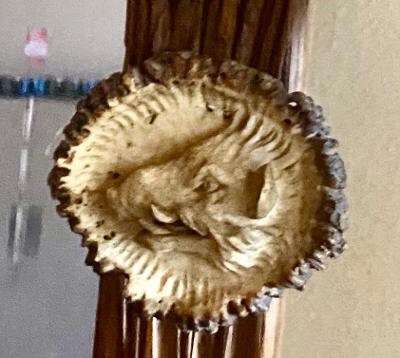 Large Antique German Antler Mirror, 67 Inches Tall