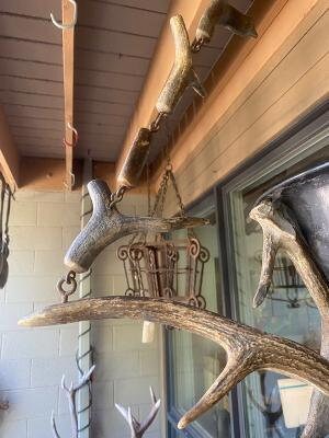 Antler Plant Hanger, Repurposed German Antler Chandelier