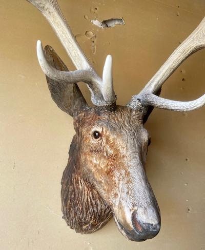 Black Forest Carved Stag Deer Head with Glass Eyes