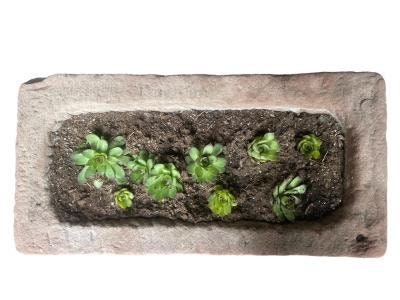 Large Stone Animal Trough Planter