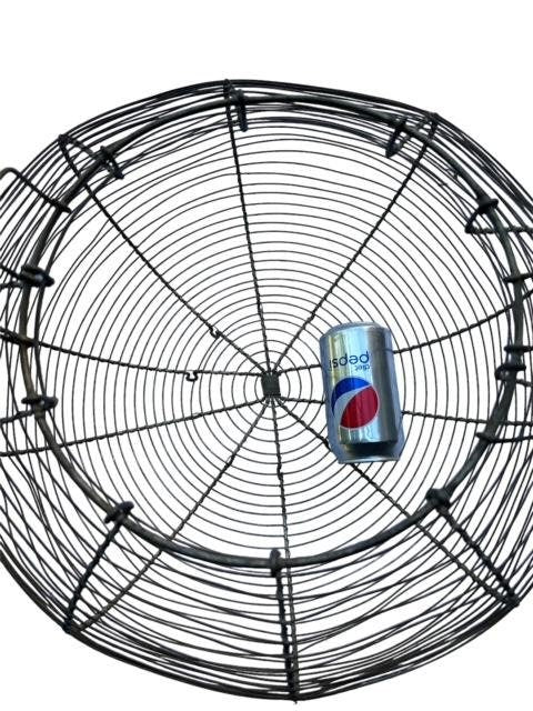 Gigantic French Wire Egg Flower Produce Basket