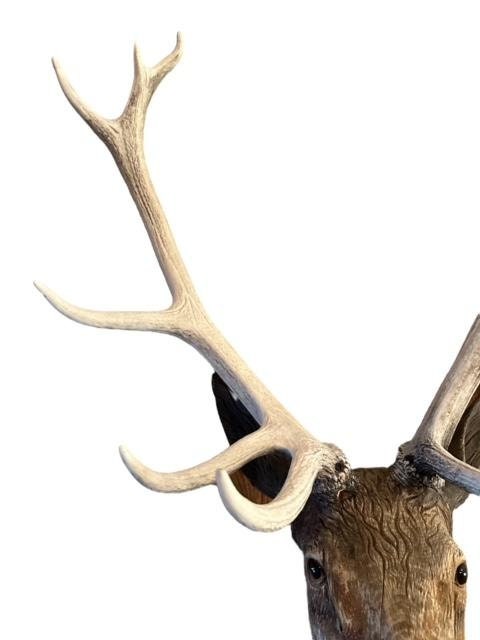 Black Forest Carved Stag Deer Head with Glass Eyes