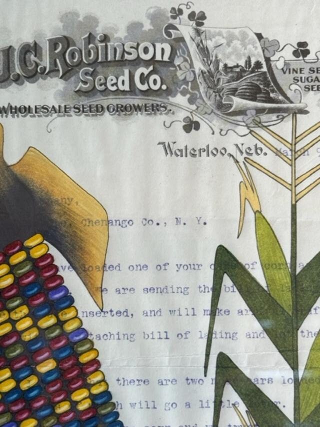 "Indian Corn" Ledger Drawing by Travis Blackbird, 1911 Seed Invoice