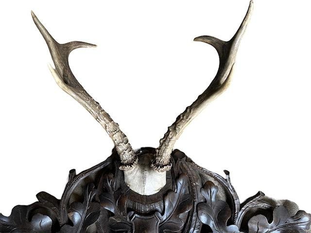 Black Forest Wood Carved Antler Rack with Real Antlers, 1900s