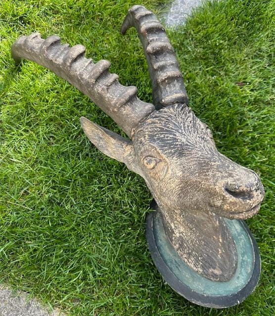 Black Forest Hand-Carved Steinbock Goat Head, Innsbruck Austria