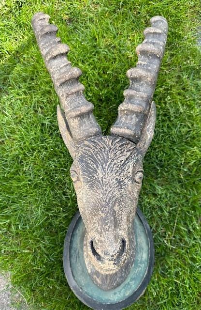 Black Forest Hand-Carved Steinbock Goat Head, Innsbruck Austria
