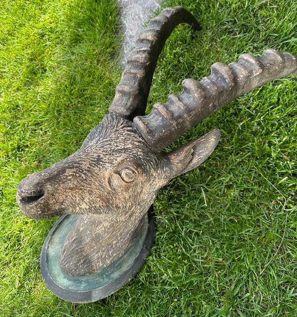 Black Forest Hand-Carved Steinbock Goat Head, Innsbruck Austria