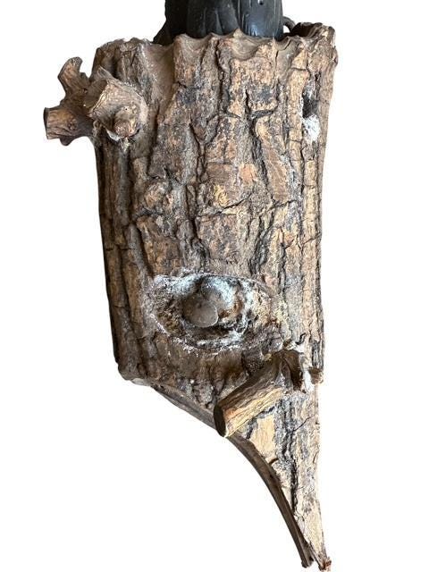 Wood Birds in Hollow Branch Tree Sculpture, Austria, 1900s