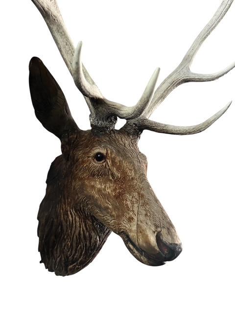 Black Forest Carved Stag Deer Head with Glass Eyes
