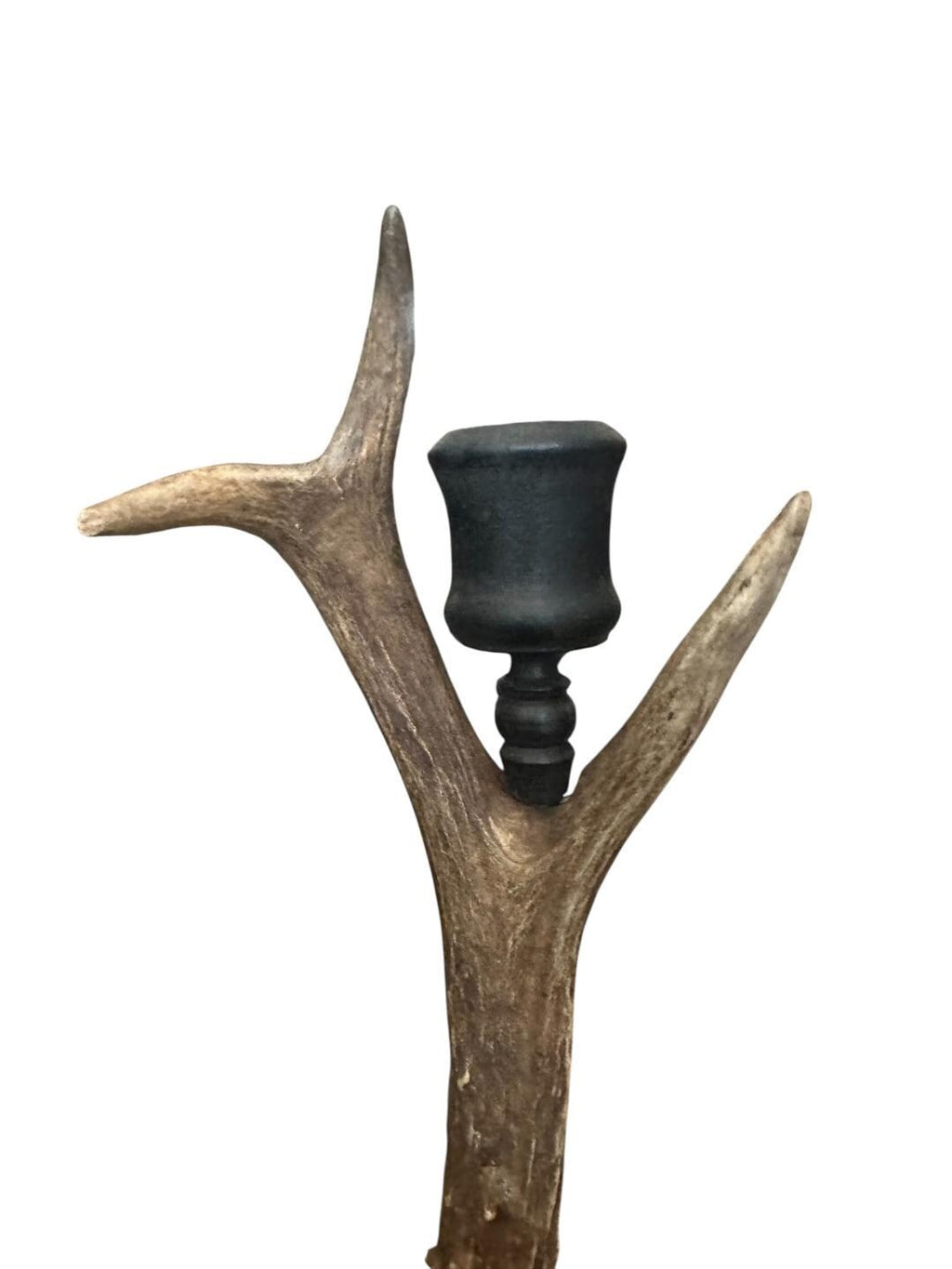 Roe Deer Antler Candlestick #4