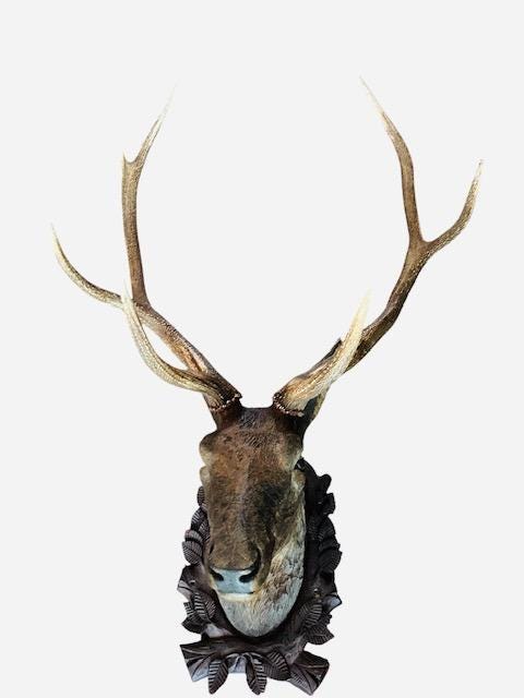 Wood Carved Antique Deer Stag Head Trophy