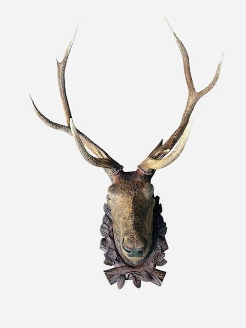 Wood Carved Antique Deer Stag Head Trophy