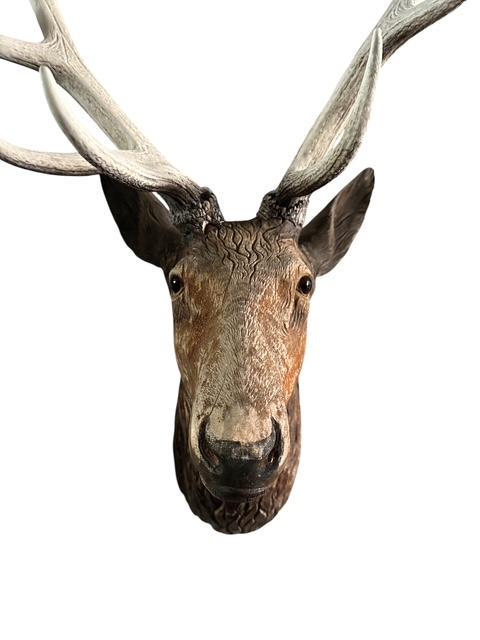 Black Forest Carved Stag Deer Head with Glass Eyes