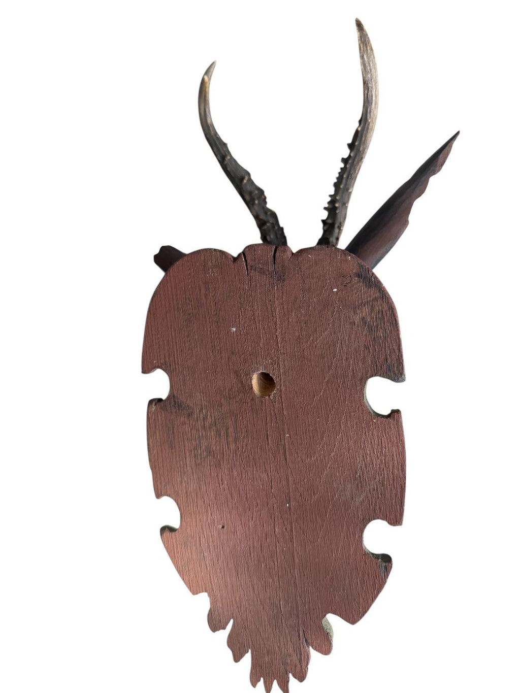 Black Forest Carved Wood Deer Head with Real Antlers, 19th Century