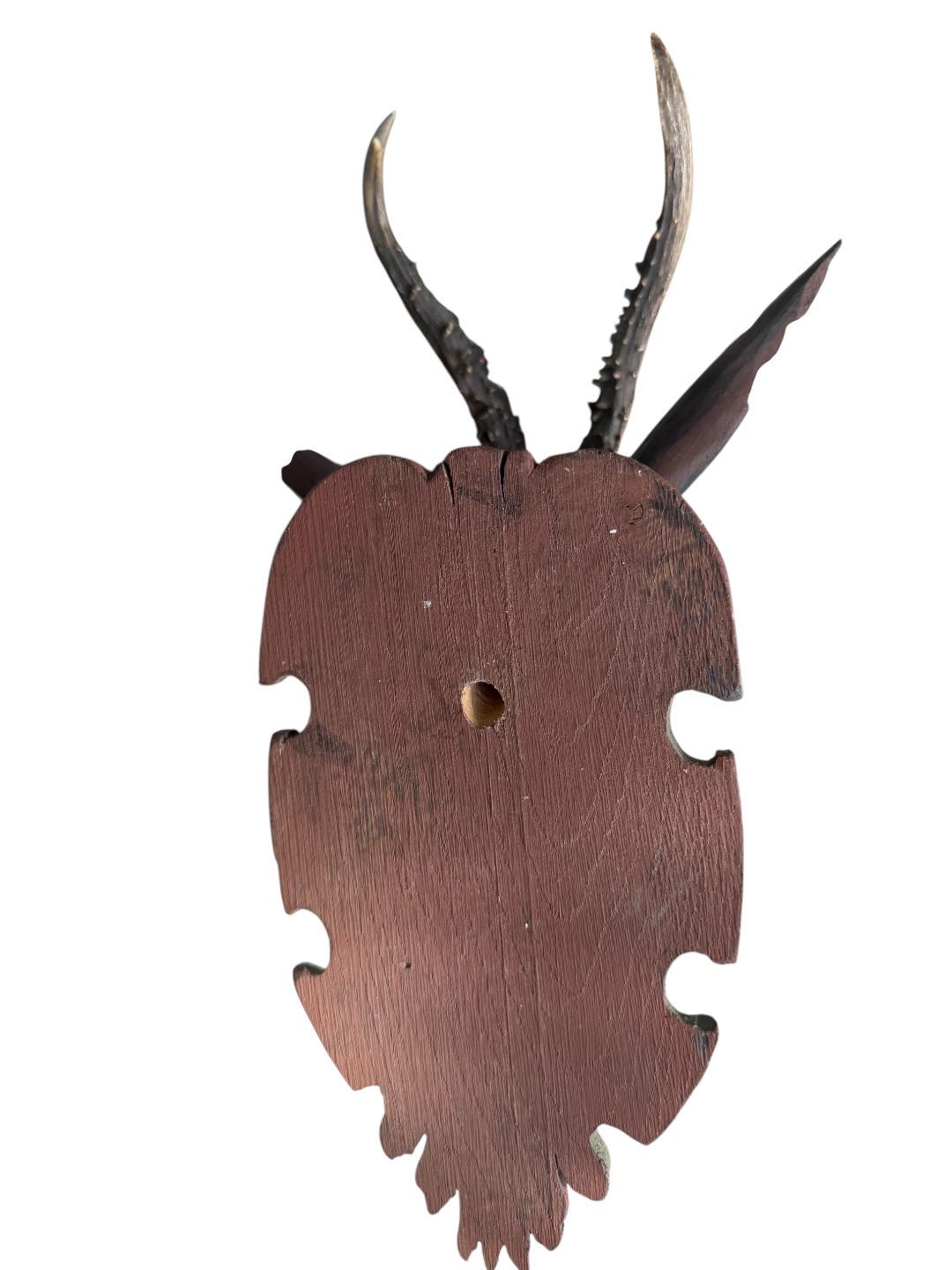 Black Forest Carved Wood Deer Head with Real Antlers, 19th Century