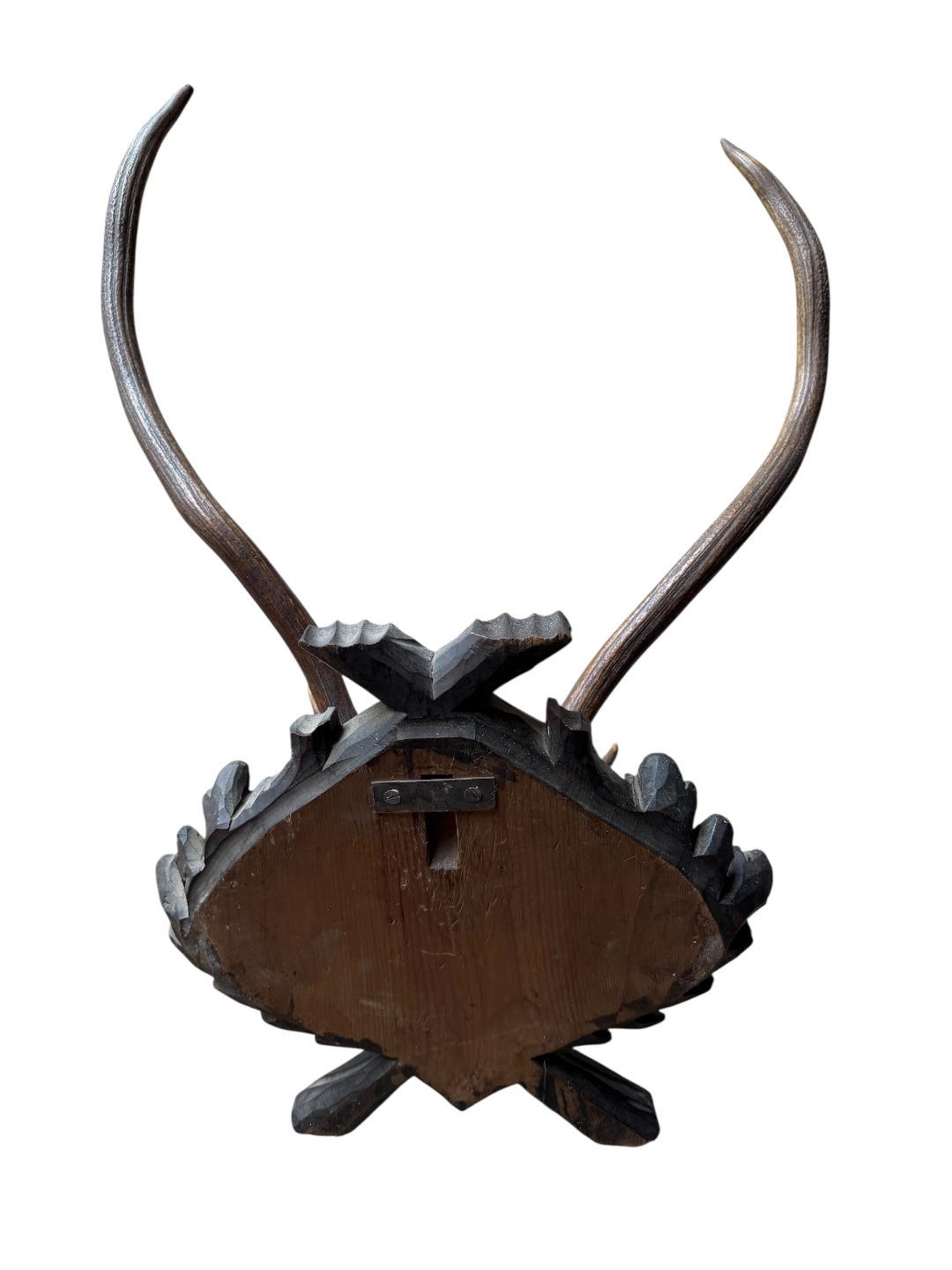 Large Black Forest Antler Mount #2 Trophy, 1900s