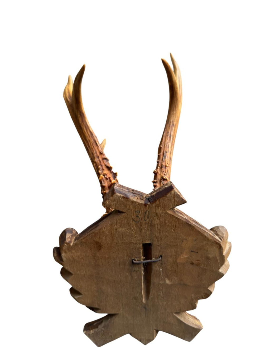 Roe Deer Trophy 107 Black Forest Antlers Mount