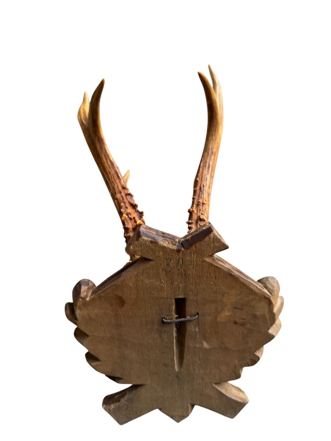 Roe Deer Trophy 107 Black Forest Antlers Mount