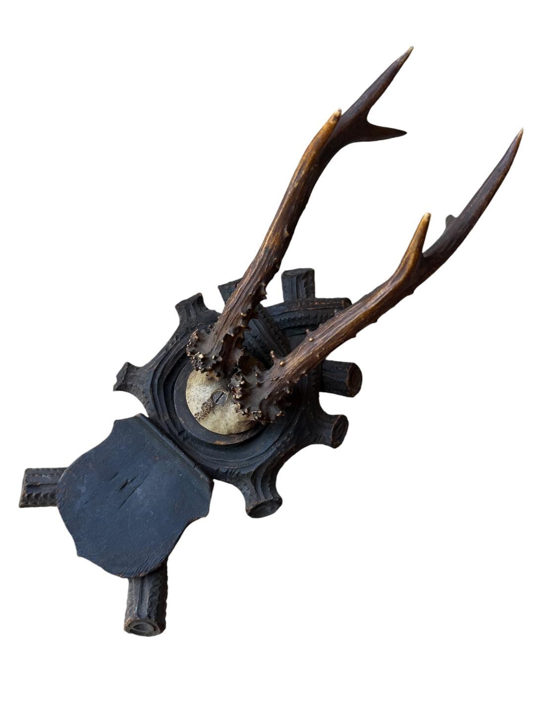 Roe Deer Trophy 105 Black Forest Antlers Mount