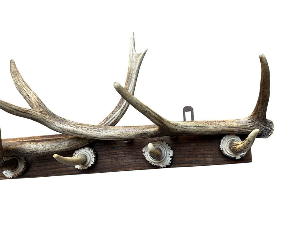German Antler Hanging Rack, 29 Inches Long, 1950s