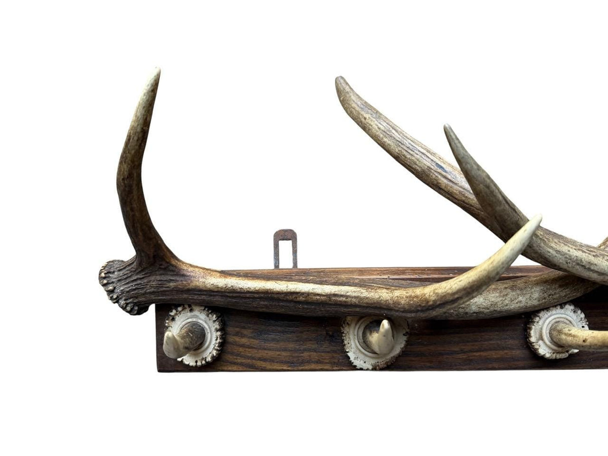 German Antler Hanging Rack, 29 Inches Long, 1950s