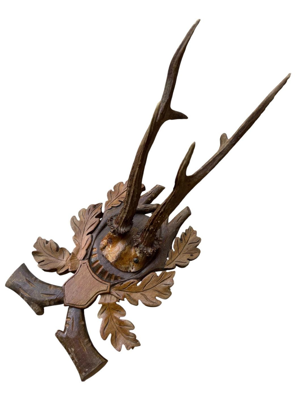 Roe Deer Trophy 132 Black Forest Antlers Mount
