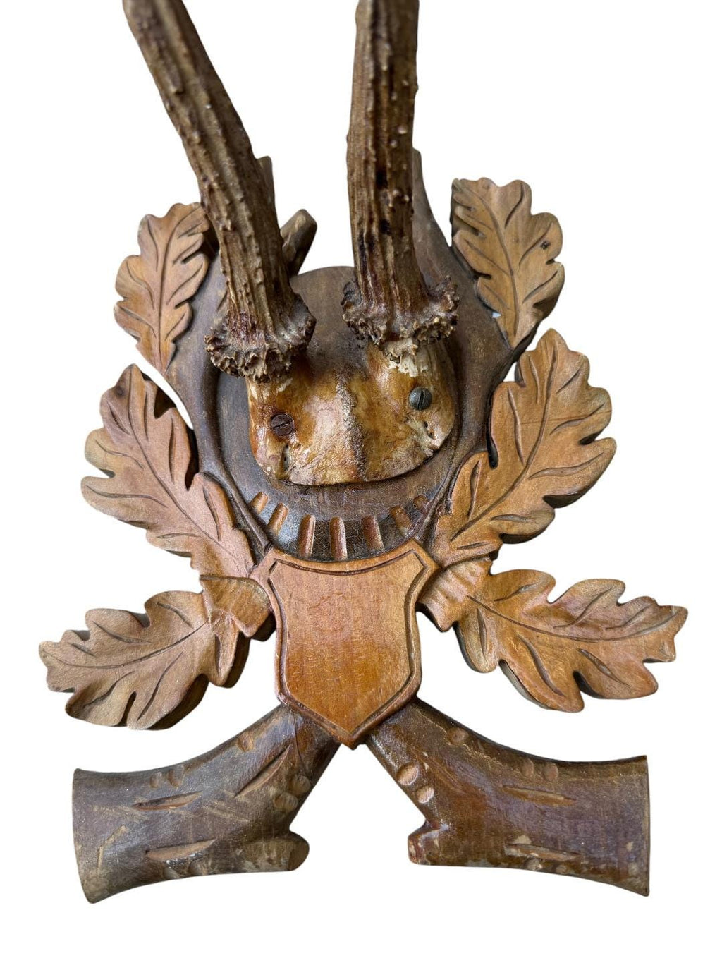 Roe Deer Trophy 132 Black Forest Antlers Mount