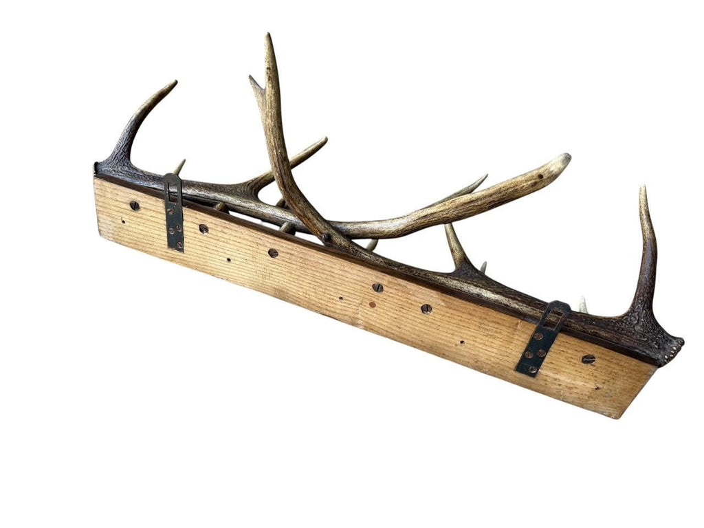German Antler Hanging Rack, 29 Inches Long, 1950s