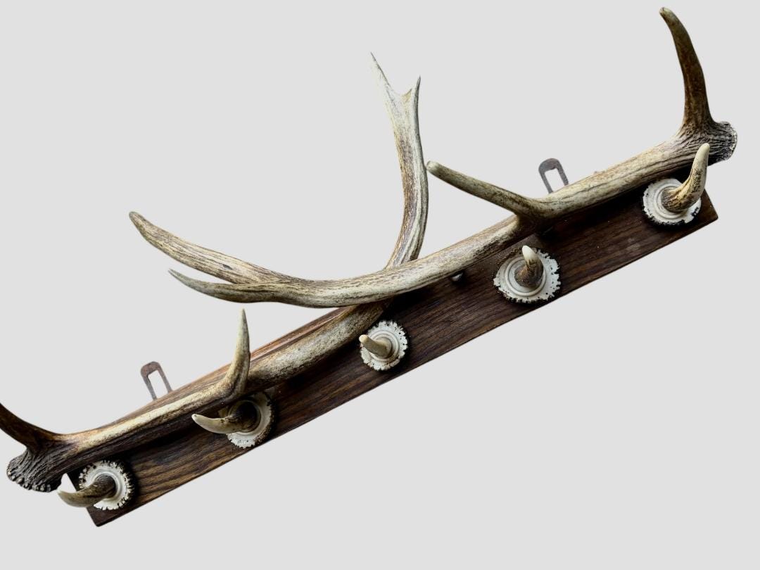 German Antler Hanging Rack, 29 Inches Long, 1950s