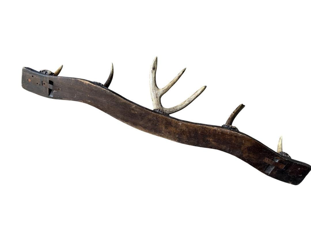 German Antler Hanging Rack, 32 Inches Long, 1950s