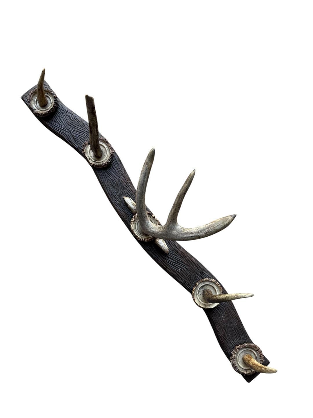 German Antler Hanging Rack, 32 Inches Long, 1950s