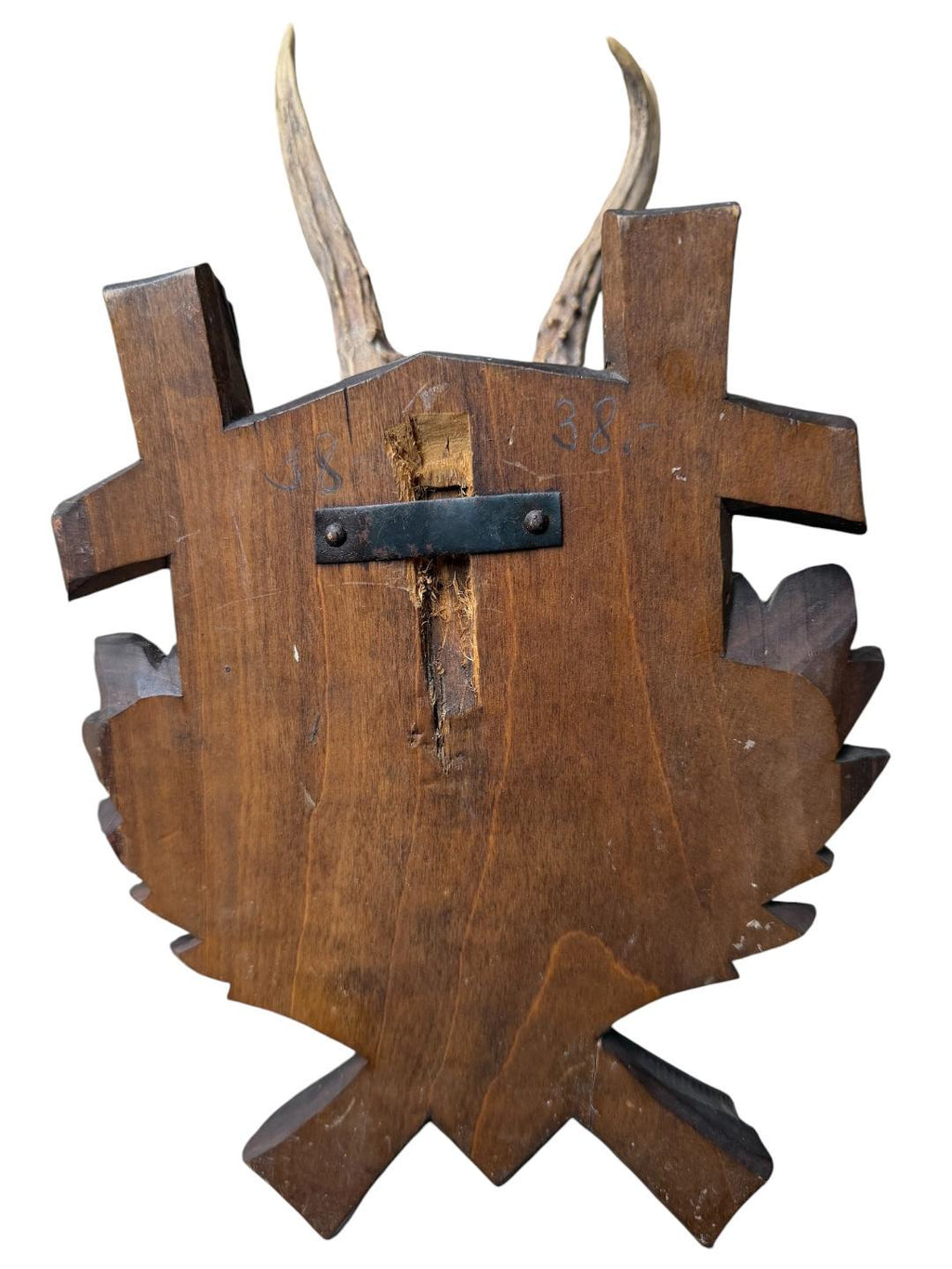 Roe Deer Trophy 184, Black Forest Antlers, Oak Leaf Plaque