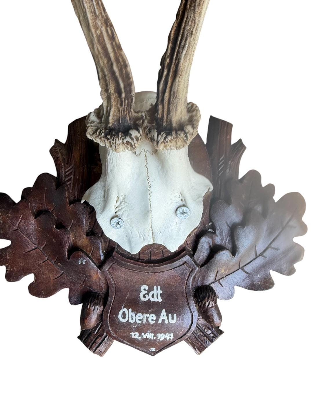 Roe Deer Trophy 196, Black Forest Antlers, 1930s
